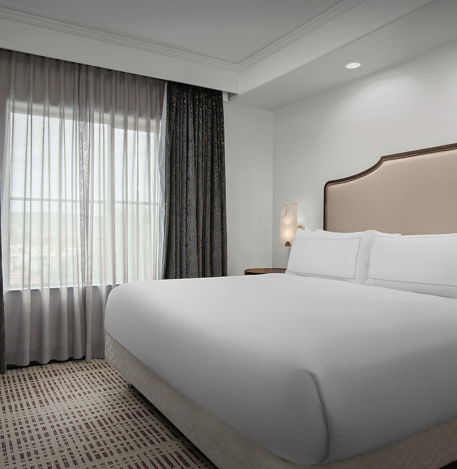  Accessible King Suite 