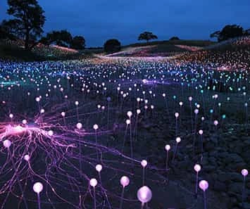 Sensorio Field of Lights